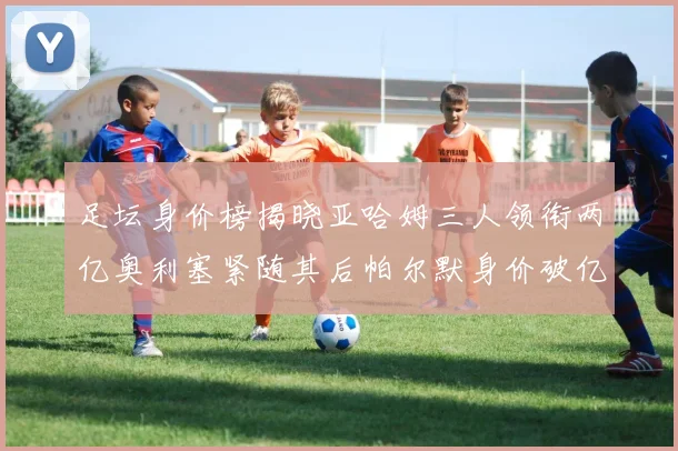 足坛身价榜揭晓亚哈姆三人领衔两亿奥利塞紧随其后帕尔默身价破亿