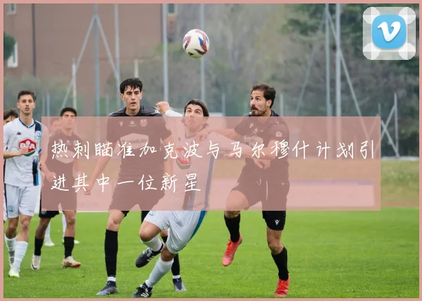 热刺瞄准加克波与马尔穆什计划引进其中一位新星