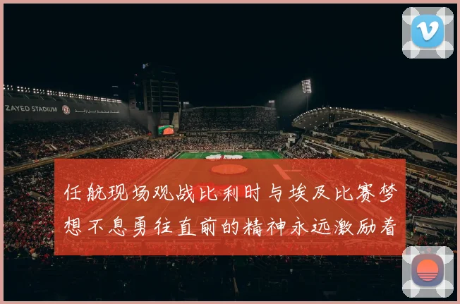 任航现场观战比利时与埃及比赛梦想不息勇往直前的精神永远激励着我们